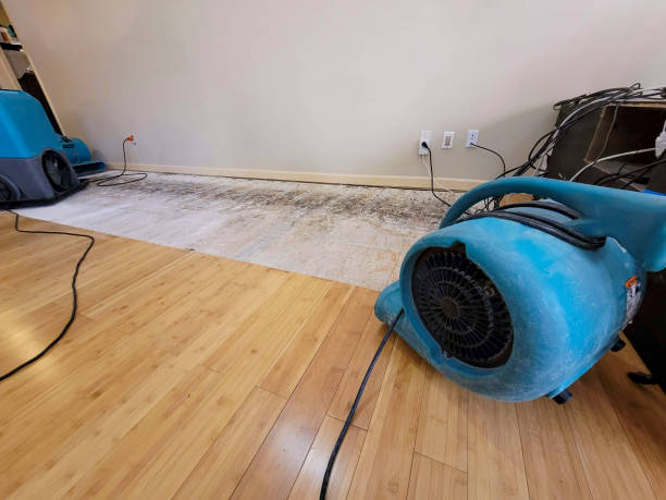 Professional Emergency Water Damage technician working in Malaga, WA